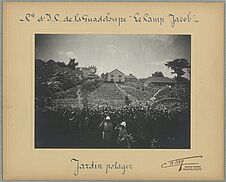 Cie d'l. P. de la Guadeloupe "Le Camp Jacob". Jardin potager