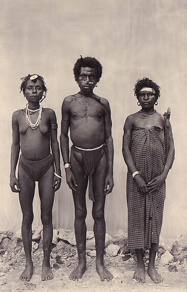 Famille Papou