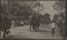 Défilé du cortège royal avenue Mouhot (Les éléphants)