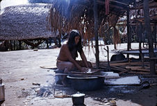Tamissage du manioc
