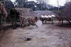 Séchage des galettes de manioc