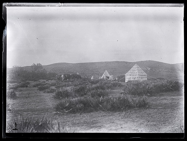 Campement à Aïn-Dalia