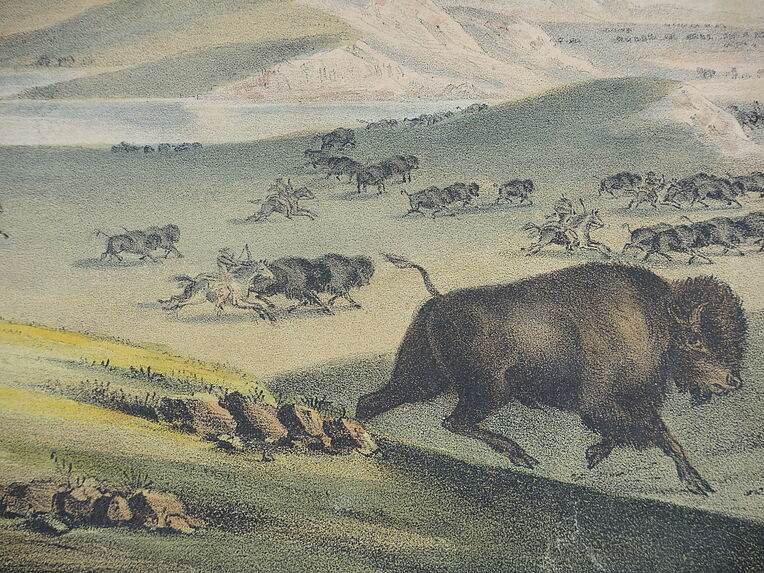 Hunting the Buffaloe