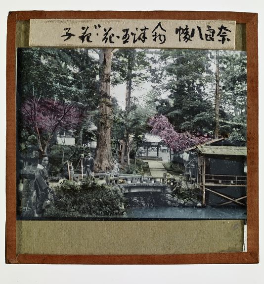 Sans titre [prises de vue dans un jardin japonais]