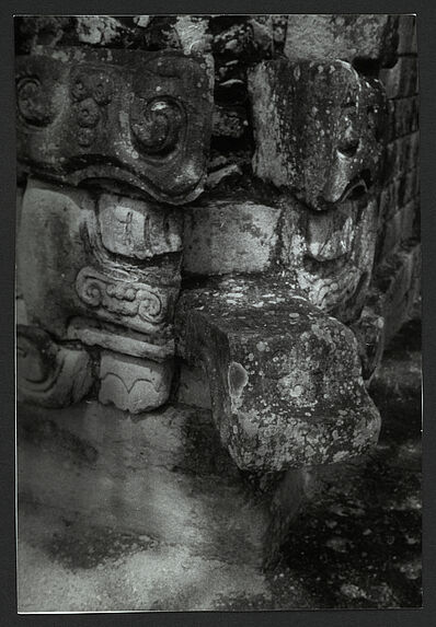 Copán, escalier hiéroglyphique
