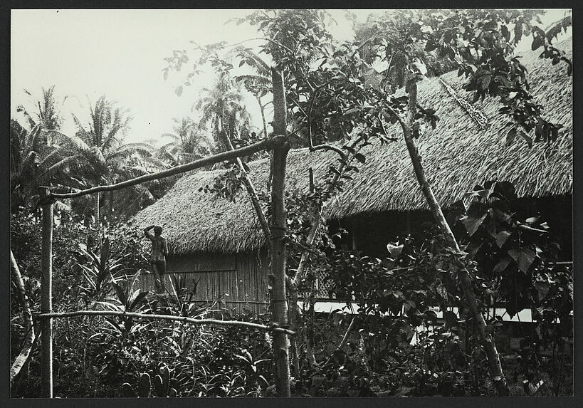 Tahiti, Punaria [Punaauia], habitation du peintre Gauguin