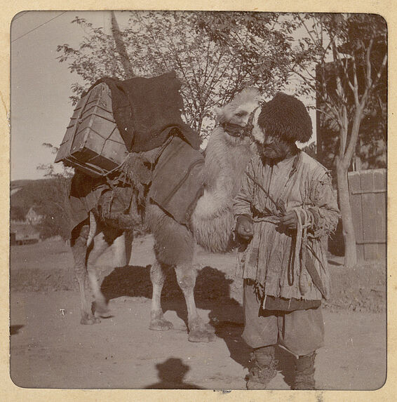 Tiflis, un tatare et son chameau