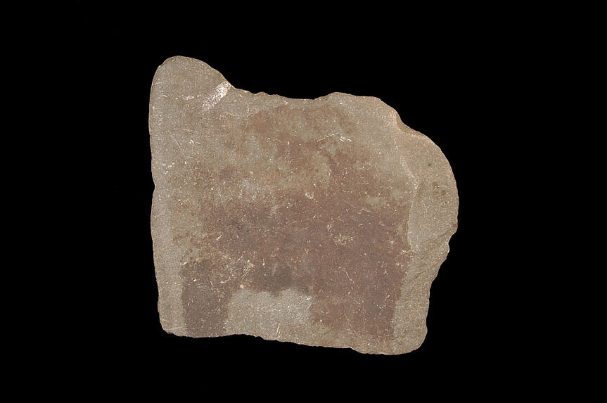 Pelle (fragment)