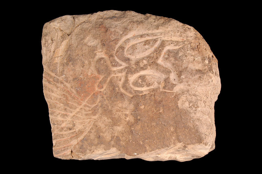 Pétroglyphe anthropo-zoomorphe (homme-oiseau tangata manu)