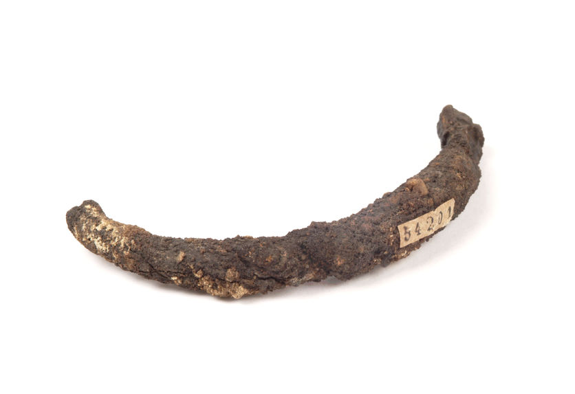 Bracelet (fragment)