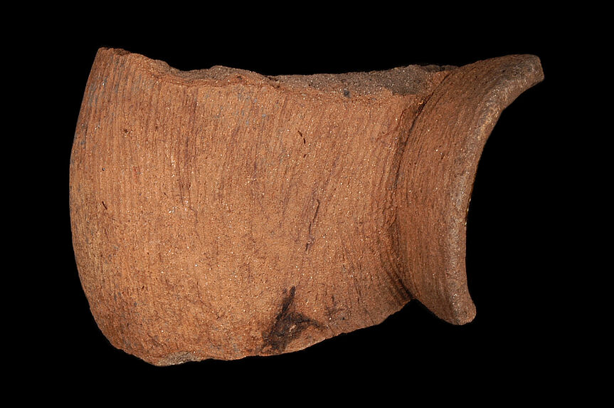 Coupe (fragment)