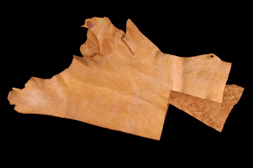 Matériel de maroquinier : fragment de cuir