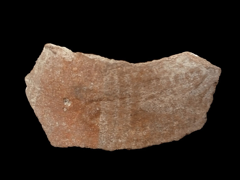 Vase (fragments)