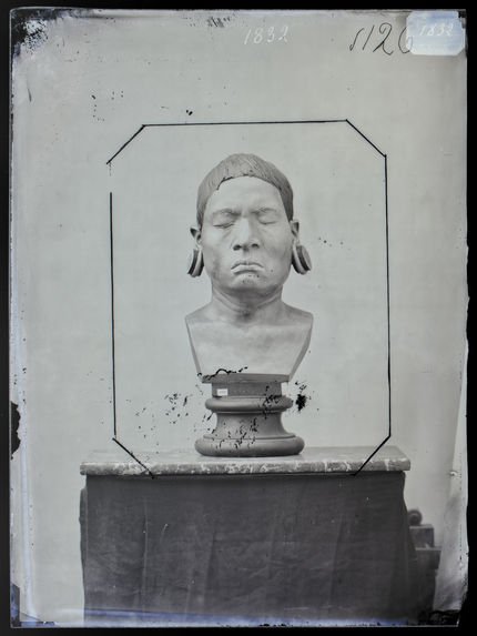 Buste : Botocudo ; sur le buste qui figure dans la collection Anthropologique du Muséum, on a reproduit la botoque à la lèvre inférieure. Buste n°1126. Face
