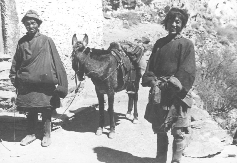 Deux Tibétains et un mulet