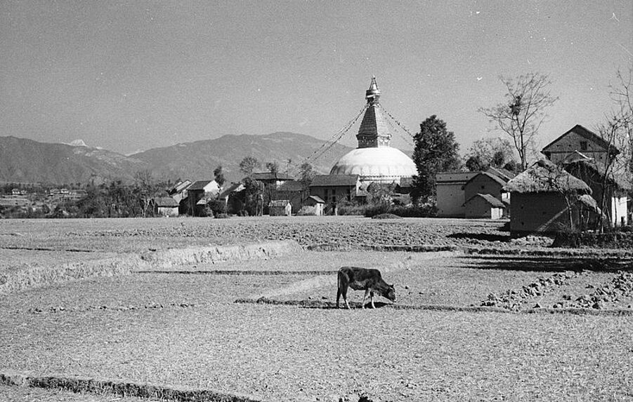 Le grand Stupa de Bodnath