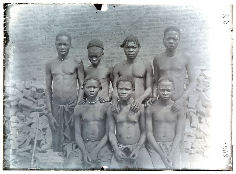 Groupe de Batékés, Lekéti, Alima