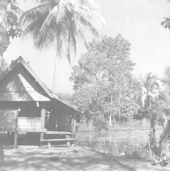 Habitation laotienne