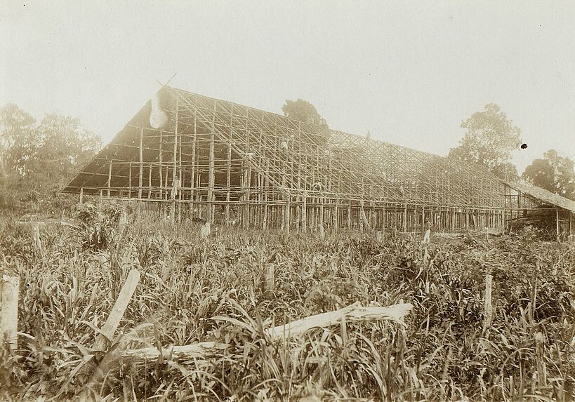 Plantation de tabac à Stefansort