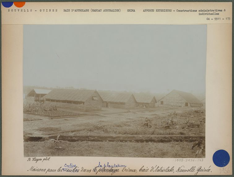 Maisons pour les coolies, plantation d’Erima