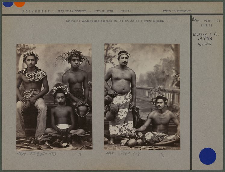 Tahitiens vendant les fruits de l'arbre à pain