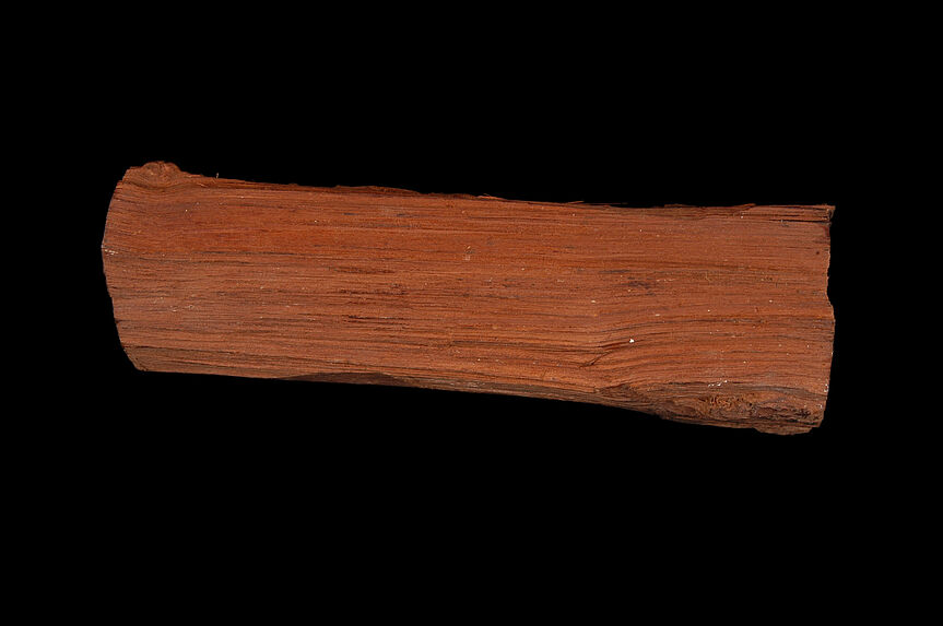 Echantillon de bois de sappan