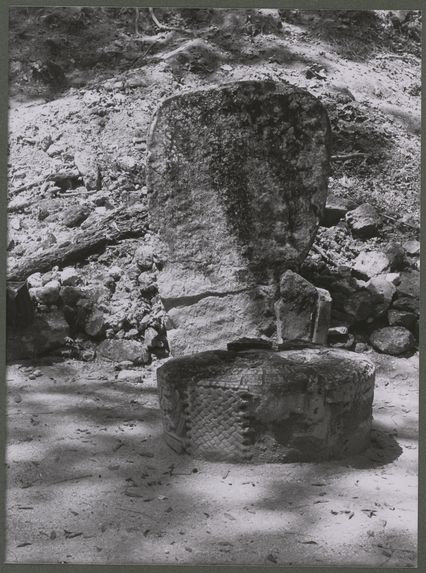 Tikal. Stèle et autel