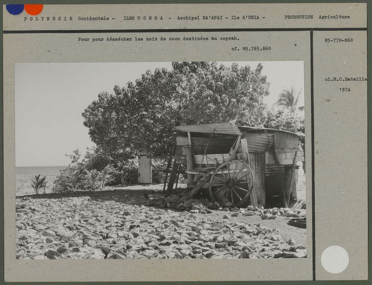 Four pour déssecher les noix de coco destinées à la fabrication du coprah