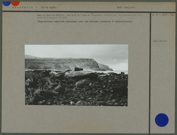 Dans la baie de Hotuiti, les moaï de l'ahu de Tangariki, détruit par un raz-de-marée