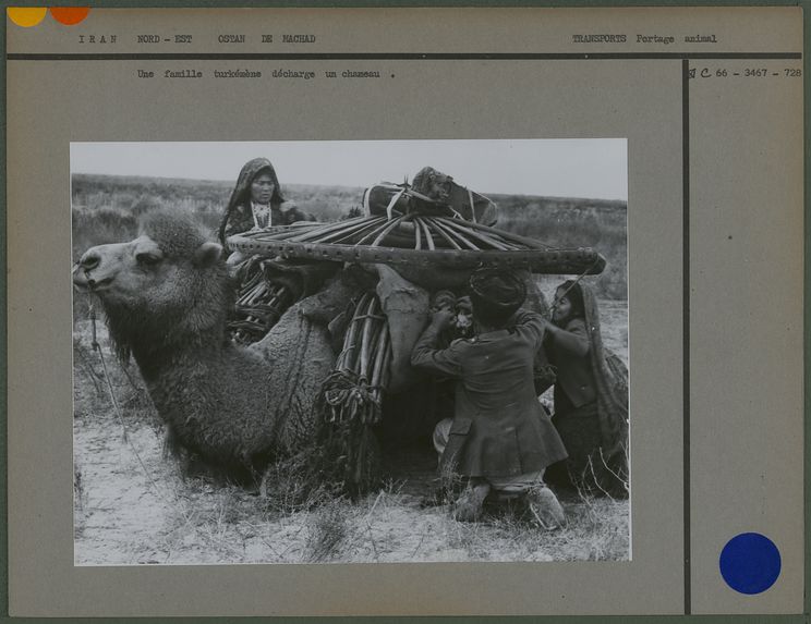 Une famille turkémène décharge un chameau