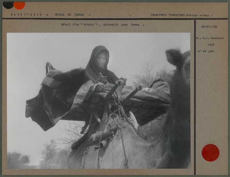 Détail d'un palanquin pour femme