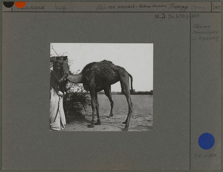 Femme touarègue d'Agadez