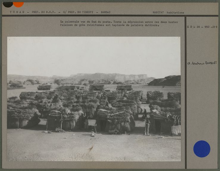 La palmeraie vue du sud du poste