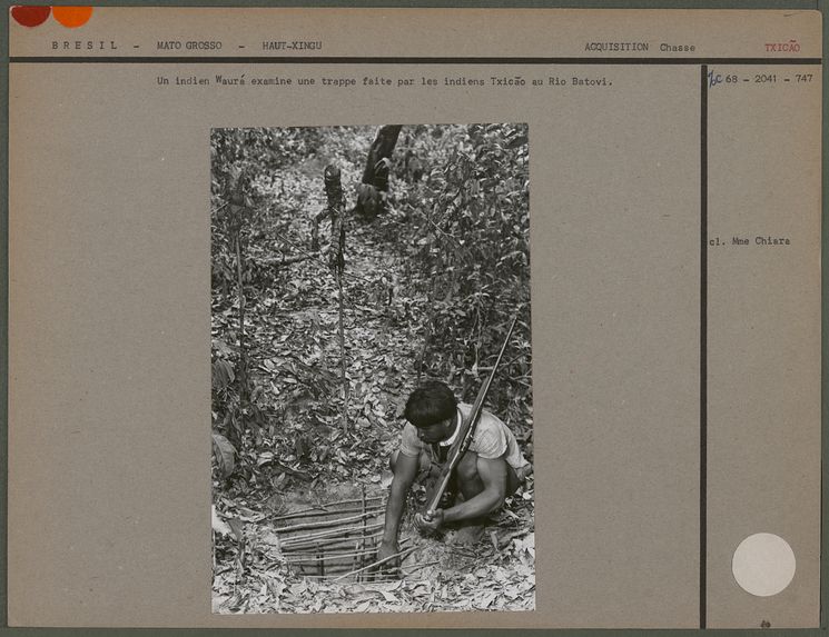 Un indien Waurá examine une trappe