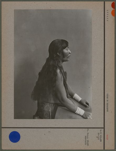 Femme Caraïbe  [Portrait de Tahkouhmy]