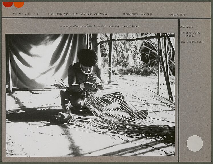 Tressage d'un pressoir à manioc avec des demi-lianes