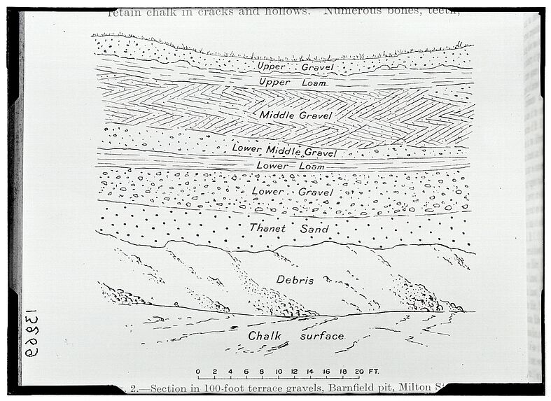 Section in 100-foot terrace gravels, Barnfield pit, Milton St[reet] [schéma]