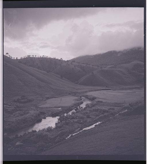Sans titre [paysage dans les environs de Dalat]