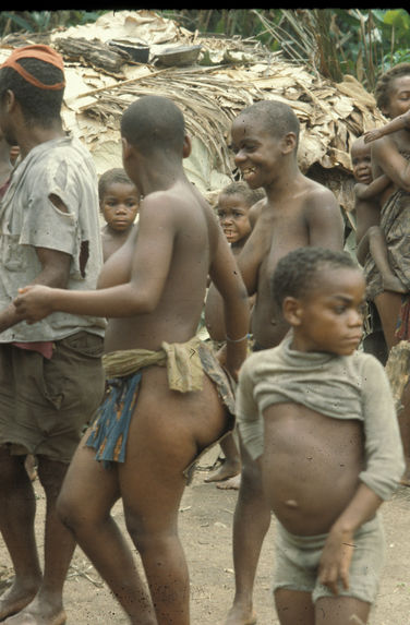 Pygmées Bambuti