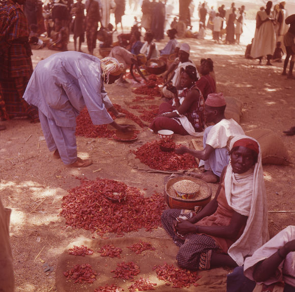 Femmes Kanuri