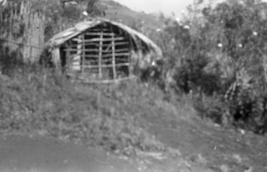 Buang Watut. Mission 1954-55. Bande film de 5 vues de Mapos : portrait d'enfants et habitations
