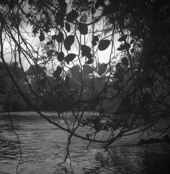 Sans titre [Vue du fleuve Ogooué]