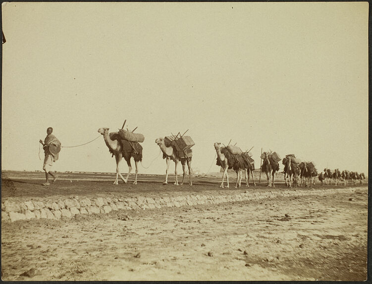 Caravane du Prince d’Orléans. Djibouti