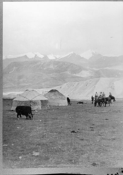 Campement Kirghiz et jeune yak