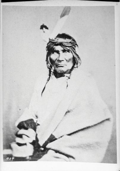 Type indien Chippewa