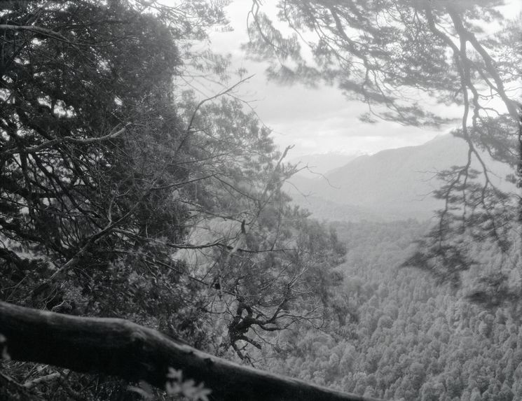 Sans titre [Forêt et montagnes]