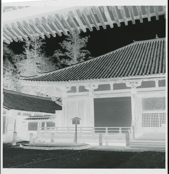 Kyoto 3, Nara [pagode ?]