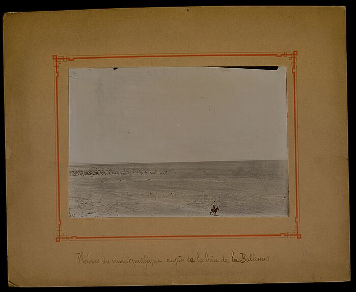 Plaines du versant pacifique auprès de la baie de la Ballenas