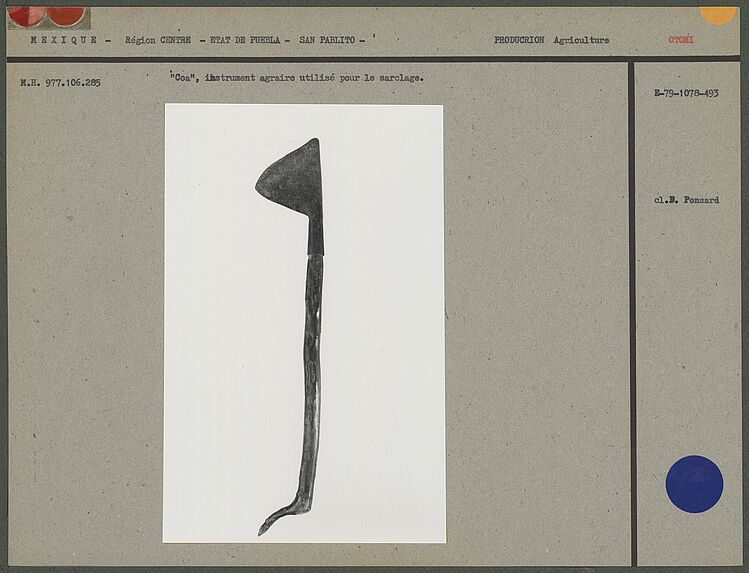 &quot;Coa&quot;, instrument agraire pour le sarclage