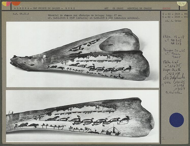 Mémorial de chasse, mâchoire de béluga